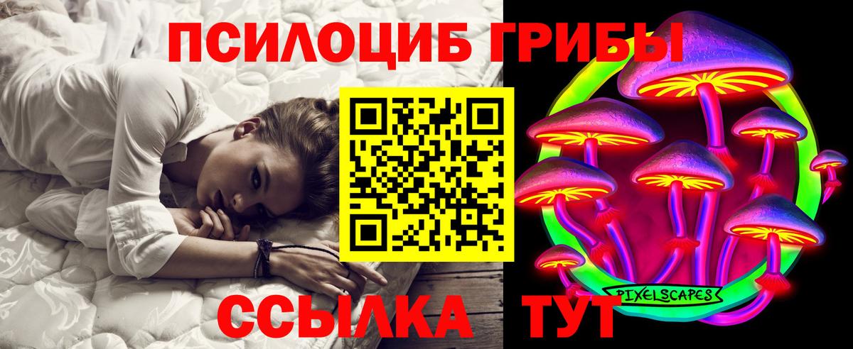 Мирный  Галлюциногенные грибы MAGIC MUSHROOMS  Псилоцибиновые грибы Psilocybine cubensis  Вход с VPN 